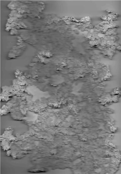 Ernesto Rivera: Trueque - Atlanta Contemporary