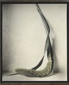 Ingar Krauss - Galerie Stephan Witschi
