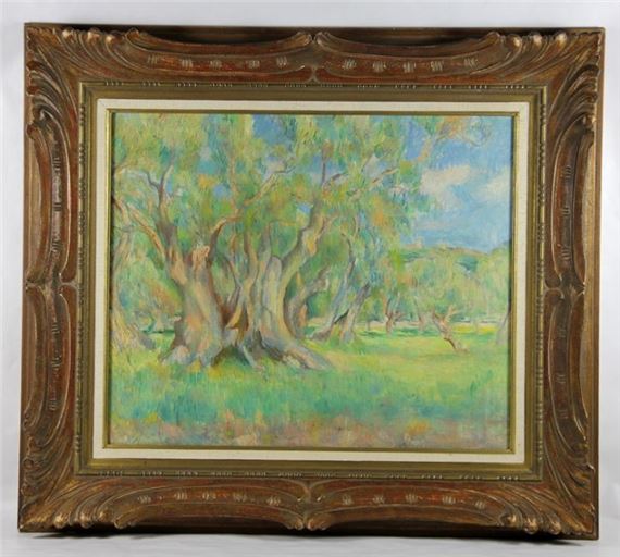 Olivenhain in Südfrankreich, französische Landschaft mit markanten Bäumen an einem sonnigen Tag - Lucien Réne Mignon