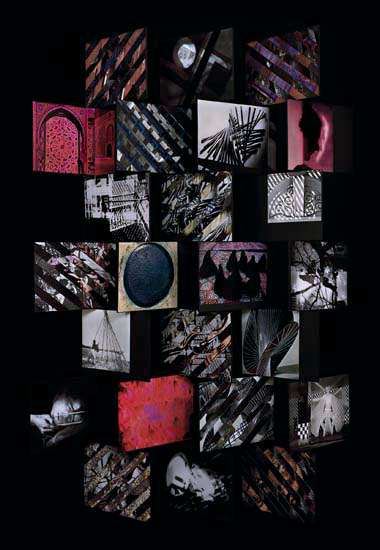 Collection Spotlight: Sara VanDerBeek - ICA Watershed