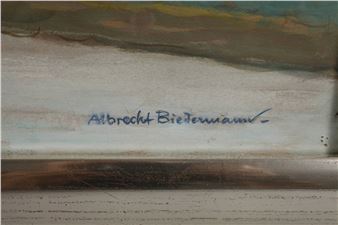 Die Elbe bei Dresden - Albrecht Biedermann