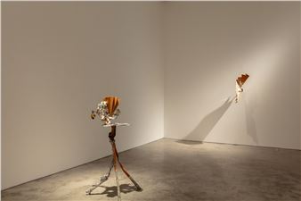 Yasue Maetake: Mare Fecunditatis - Silverlens, Manila 
