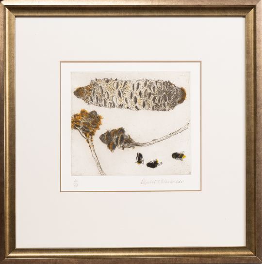 SEED PODS AND BEES by Elizabeth Blackadder