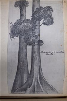 Untitled - John Buchanan