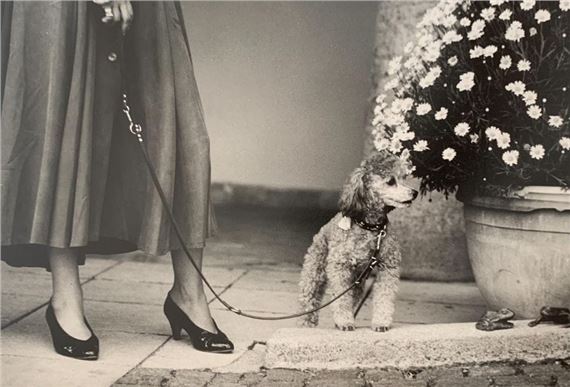 Dog and mistress, Bavaria by Thierry Valencin, 1993