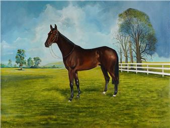 Portrait of a horse - Rhys Jenkins