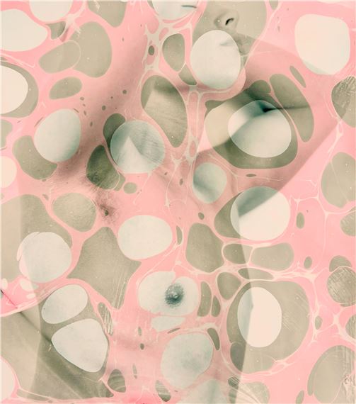 Tara Bogart and Christa Blackwood: Seen/Unseen - Hawthorn Contemporary