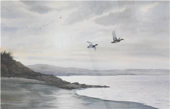 Ducks in flight - Owen Williams