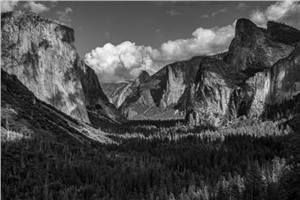 November 2025 Monochrome -  The Art League Gallery