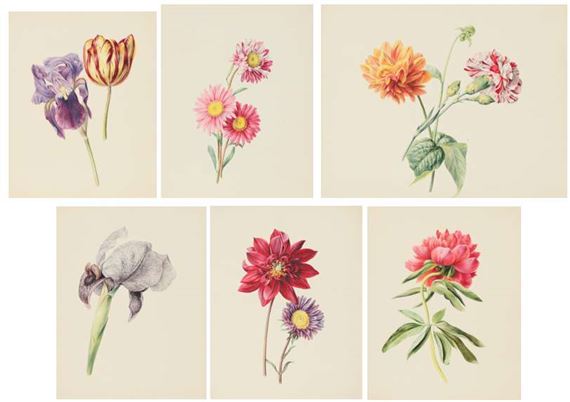 Flower still lifes - Anthony Oberman