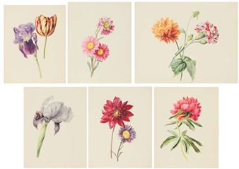 Flower still lifes - Anthony Oberman