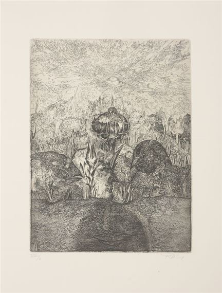 Met Darwin op de Beagle by Frans Minnaert