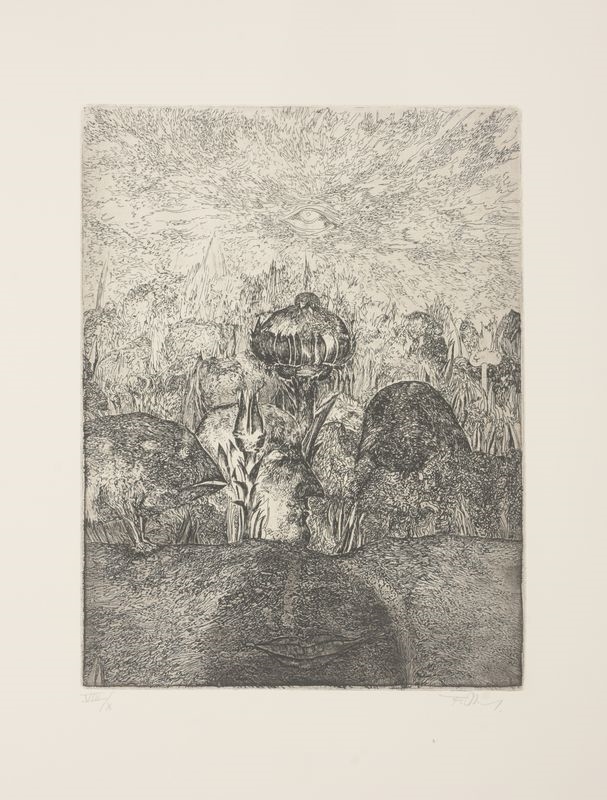 Artwork by Frans Minnaert, Met Darwin op de Beagle, Made of etching