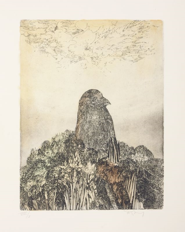 Artwork by Frans Minnaert, Met Darwin op de Beagle, Made of etching