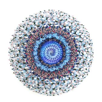 National Gallery Singapore Gala 2025: A Decade of Imagination - Sotheby's New York