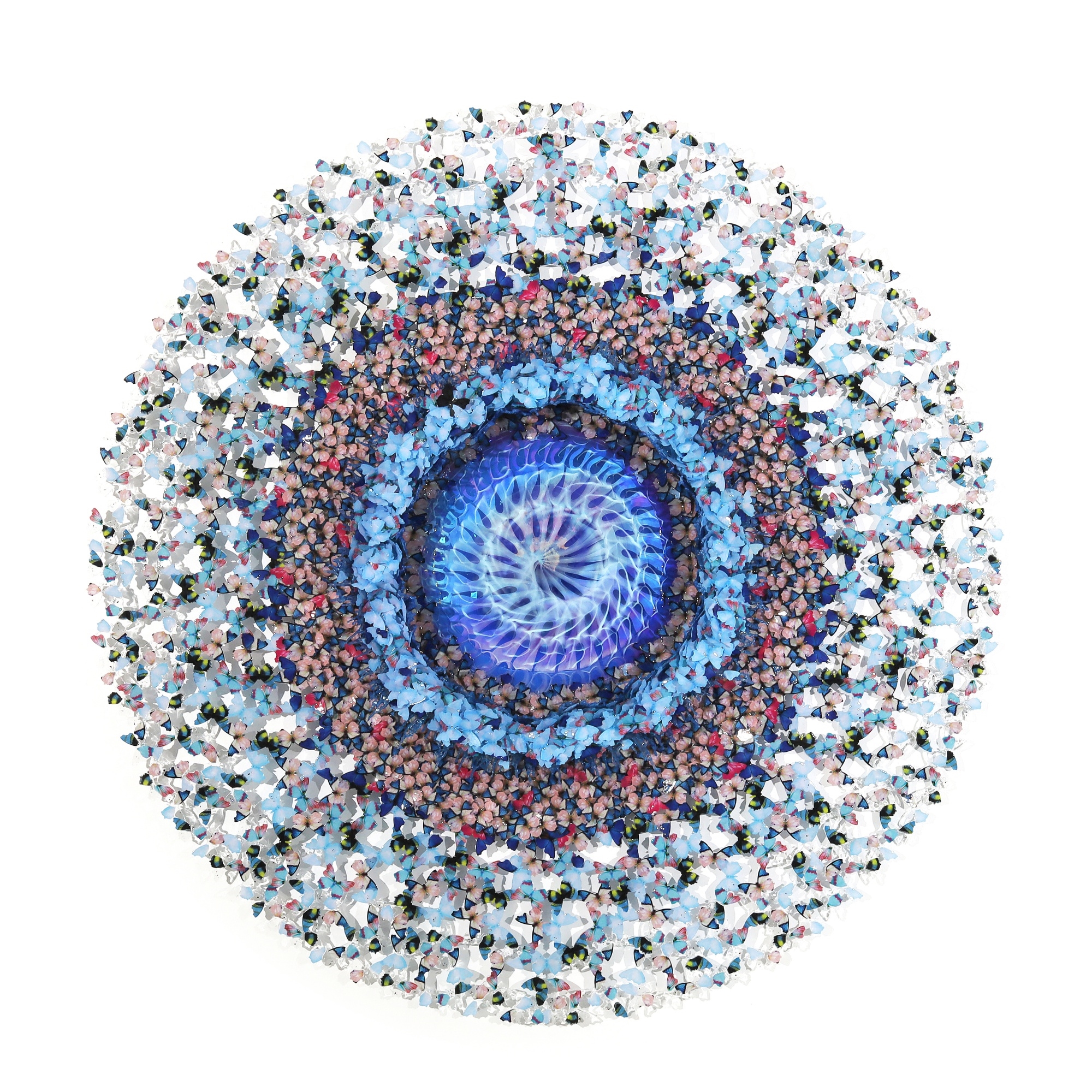 Artwork by Annalù, Annalù (A. Boeretto) | Dreamcatcher Oriental Flower, Made of glass, paper, ink and polycarbonate