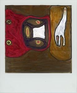 Roger Ballen: Polaroids - Anzenberger Gallery