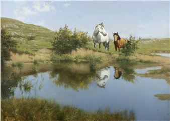 Mountain Pool - Patrick Hennessy