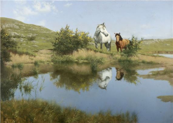 Mountain Pool - Patrick Hennessy