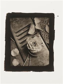 Still Life #51 - Kenro Izu