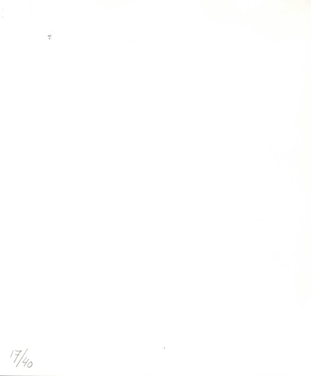 Artwork by Chen Nong, No. 4, from the series 'Lily pound, Made of Hand-Coloured Gelatin Silver Prints