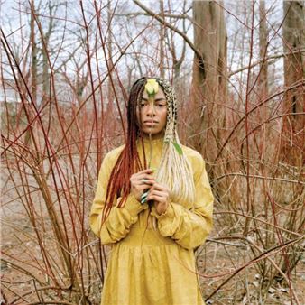 A Yellow Rose Project - Griffin Museum of Photography