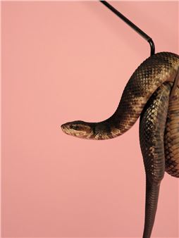 Michael Adno: What Was, What Wasn't - David Castillo Gallery