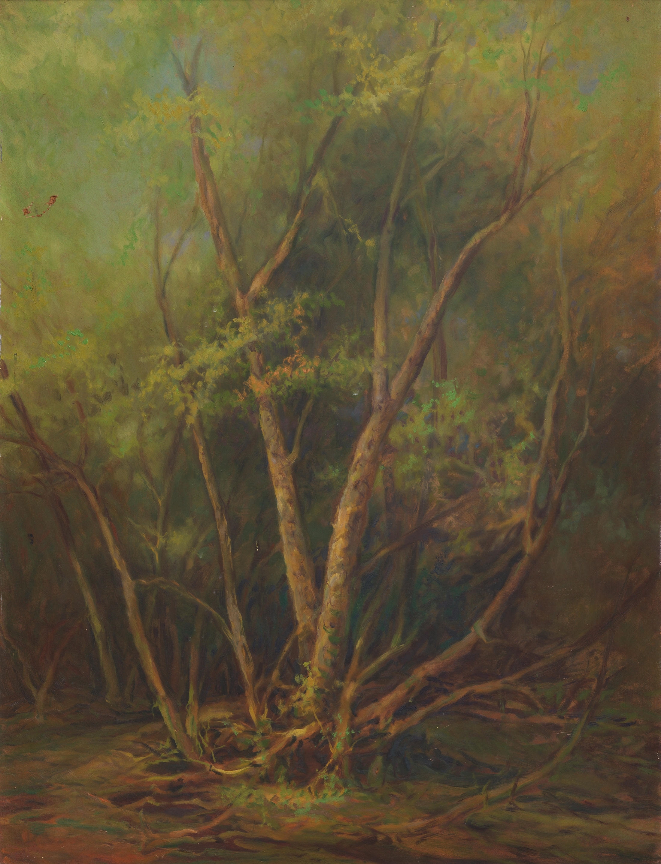 Artwork by Ustad Allah Bux, Untitled (Tree), Made of oil on board