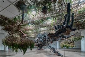 The Hypeart Guide to Frieze Seoul 2025