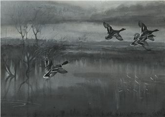 Mallard alighting - Frank Southgate