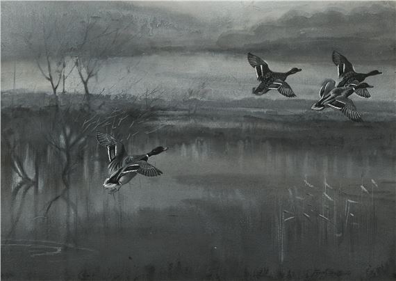 Mallard alighting - Frank Southgate