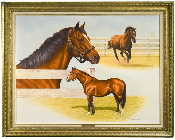 Study of Northern Dancer - Robert Macintosh