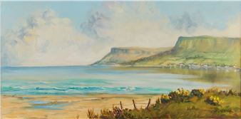 THE COAST NEAR WATERFOOT - Ray Cochrane