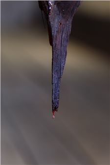 Monika Gabriela Dorniak: u-u-u, i have a request for you! - Stroboskop Art Space