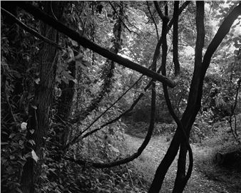 Dawoud Bey: Elegy - New Orleans Museum of Art