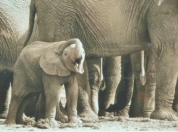 Artwork by Lung Yuet Ching, LARGE ORNATELY CARVED GILT FRAMED OIL MONOCHROME PAINTING OF A NUDE LADY RECLINING ON A CHAISE LOUNGE SIGNED BY JOYCE 2014, Made of Oil Monochrome