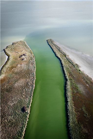Kāi Tahu and Anne Noble: Unutai e! Unutai e! - Christchurch Art Gallery Te Puna o Waiwhetu