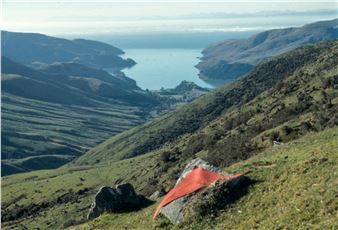 Living Archives - Christchurch Art Gallery Te Puna o Waiwhetu
