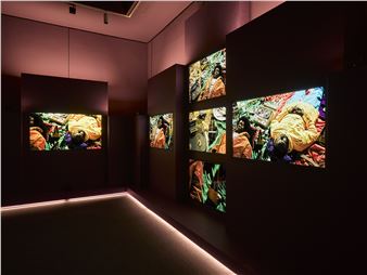 John Akomfrah - Baltimore Museum of Art