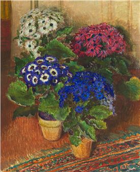 Cinéraires - Henri-Marcel Robert