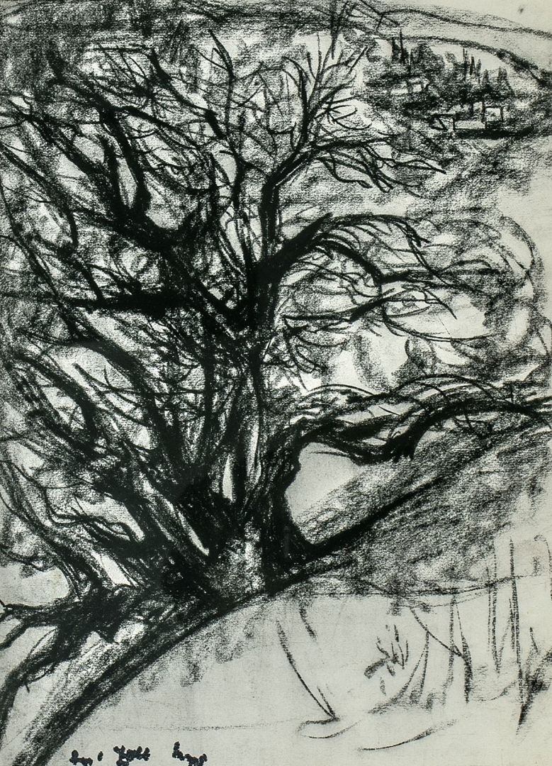Artwork by Margit Soós Zöld, Terebélyes fa, Made of charcoal
