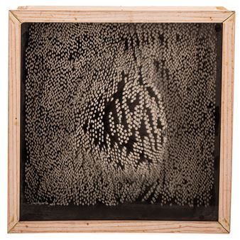 One Hundred Fools - Abigail Freeman