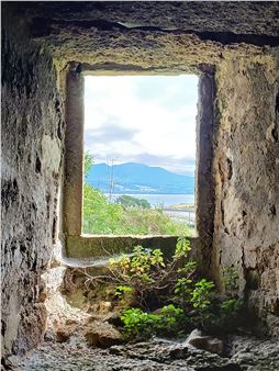 Recovery in Focus - Ty Pawb