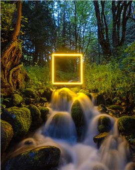 Kelsey Fernkopf: Outside: In - Foster / White Gallery