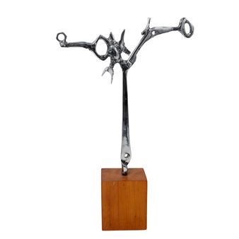 Iron Bird - Robert Hurdelbrink