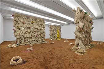 Solange Pessoa: Catch the sun with your hand - Aspen Art Museum
