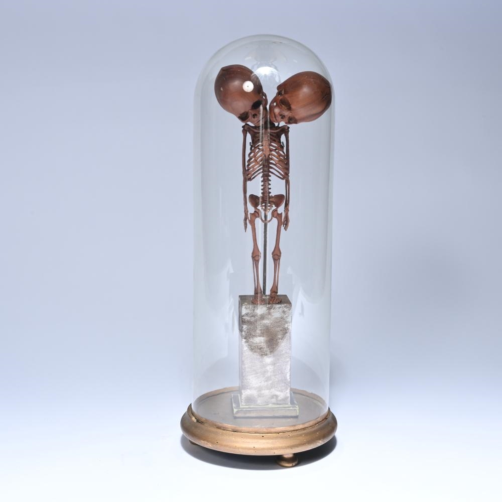 Artwork by Willy Vandekerckhove, sculpture of a wooden two-headed skeleton under a glass dome, Made of Wood
