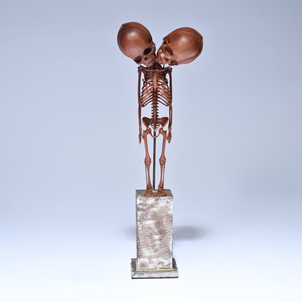 Artwork by Willy Vandekerckhove, sculpture of a wooden two-headed skeleton under a glass dome, Made of Wood