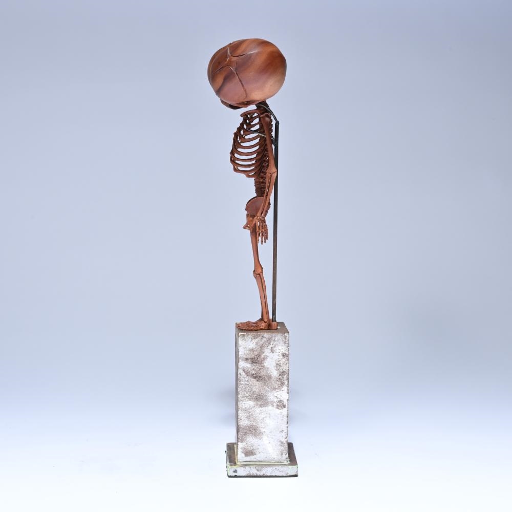 Artwork by Willy Vandekerckhove, sculpture of a wooden two-headed skeleton under a glass dome, Made of Wood