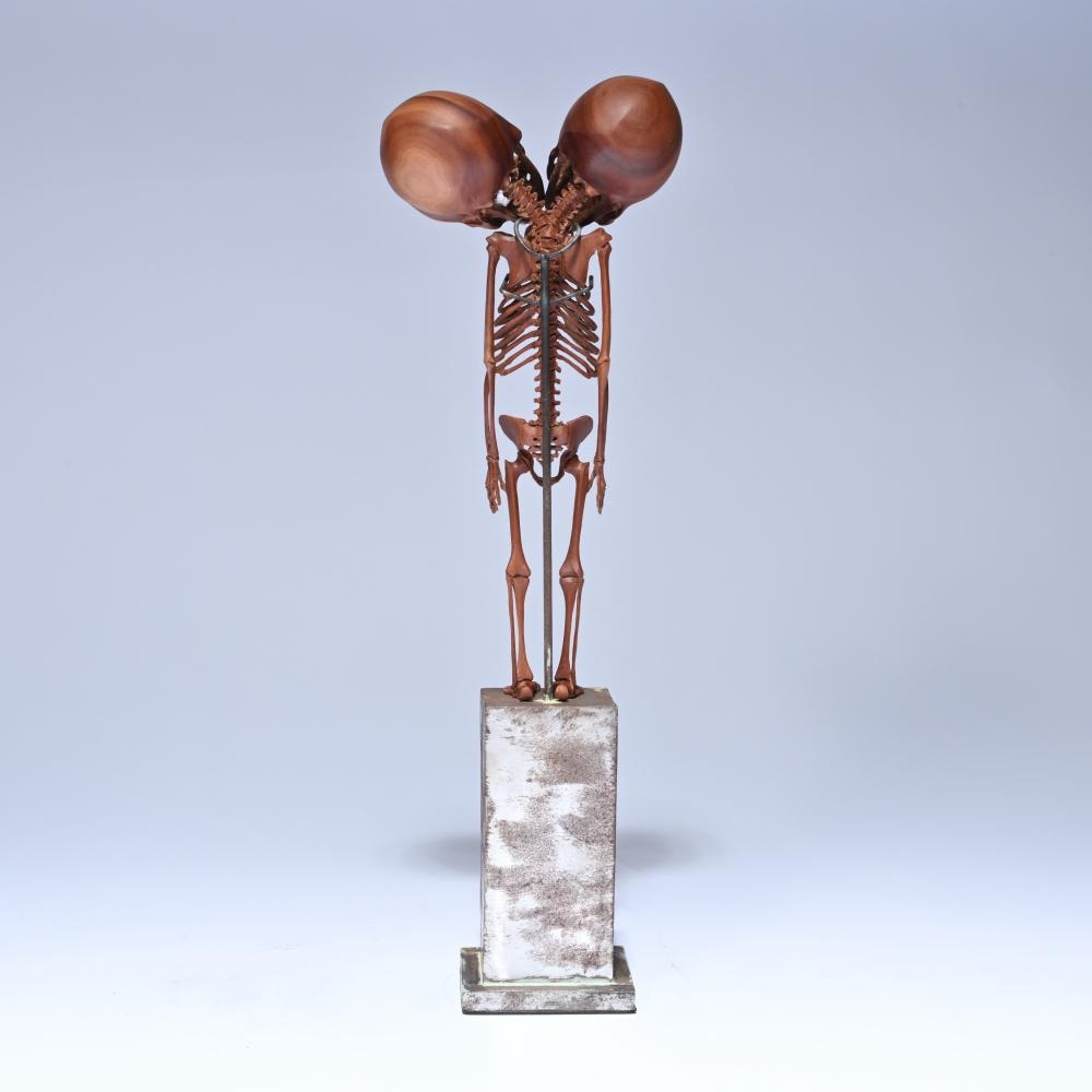 Artwork by Willy Vandekerckhove, sculpture of a wooden two-headed skeleton under a glass dome, Made of Wood